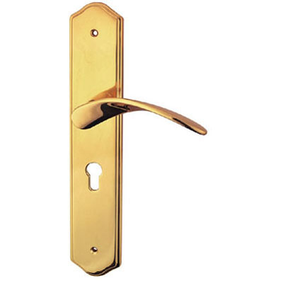 Brass Handle with Plate